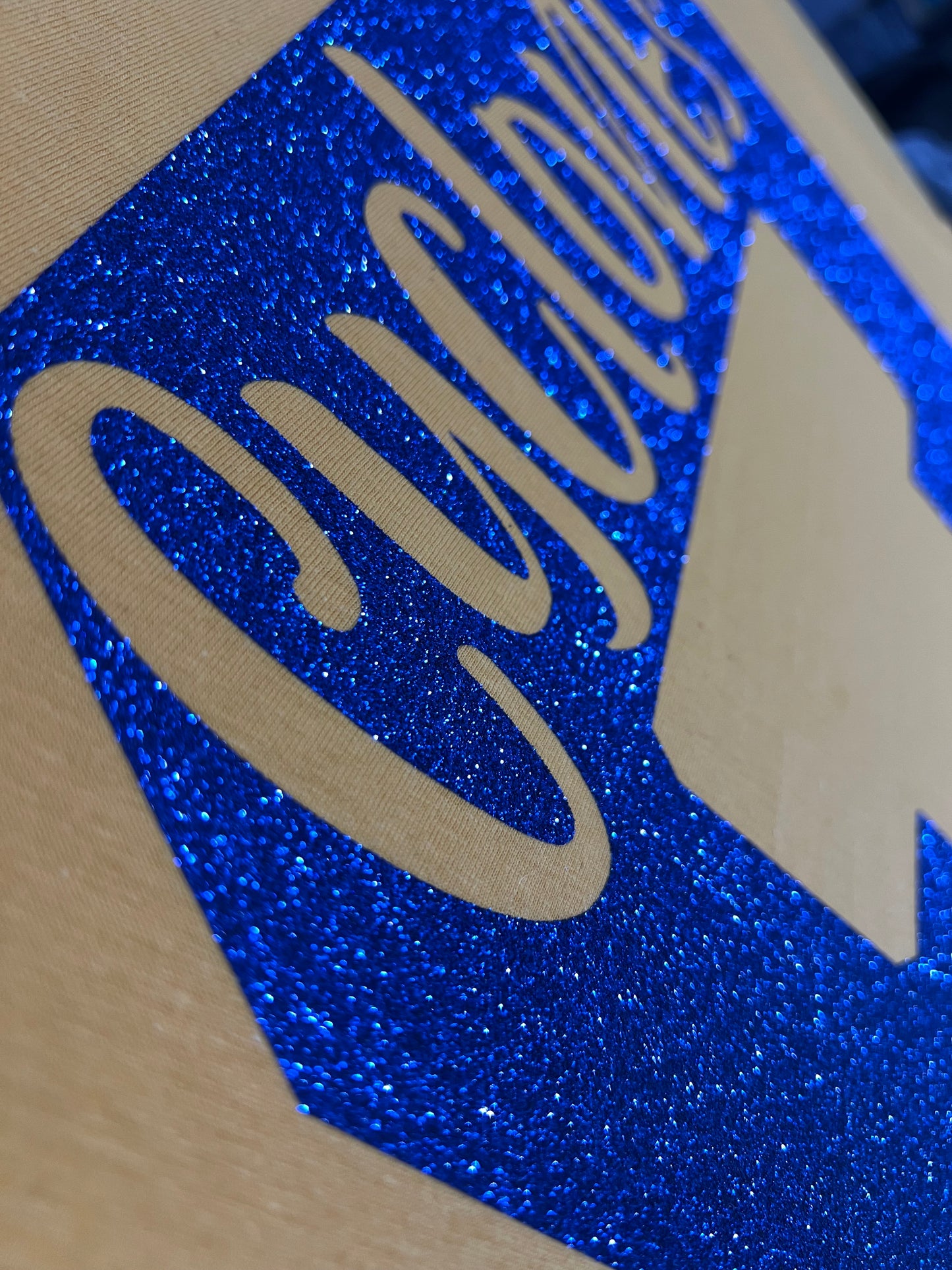 Custom team sports. School Team Letter Mascot. Graphic shirt