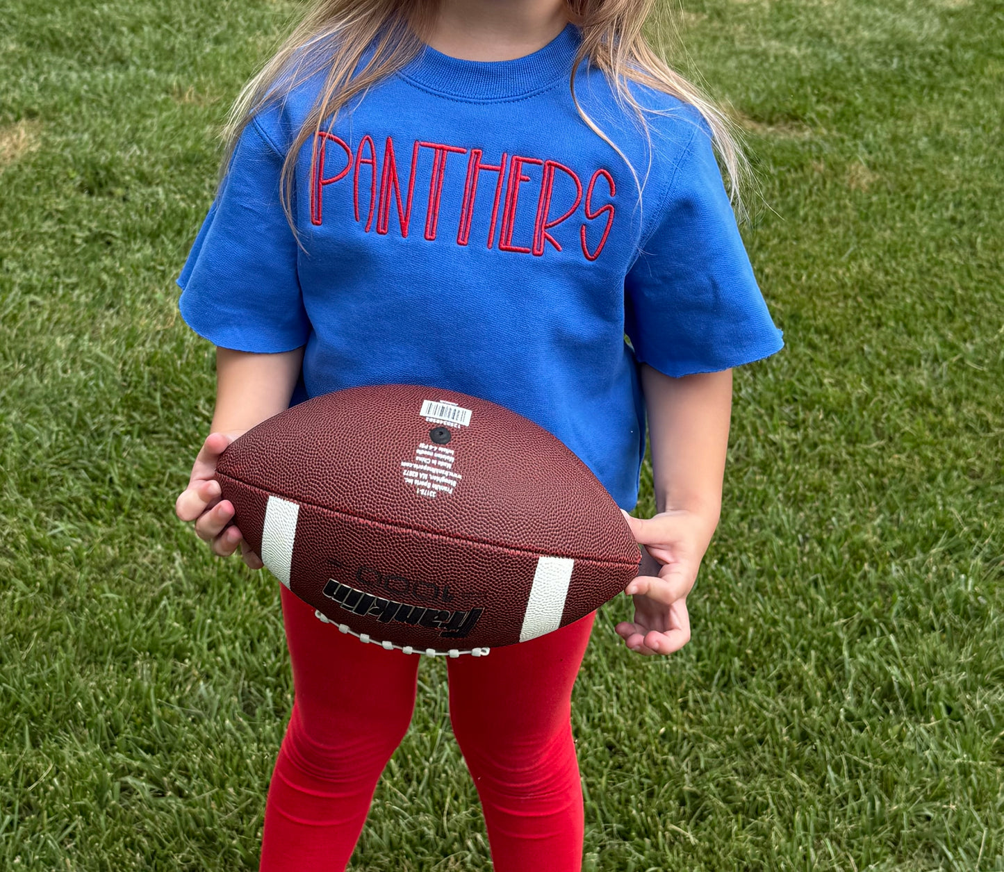 Panthers cut off embroidered shirt