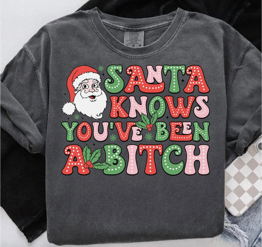 Santa knows you’ve been a bitch graphic shirt