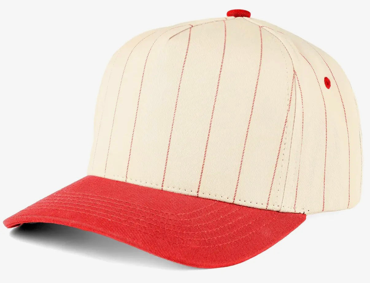 Panthers Trucker Hat