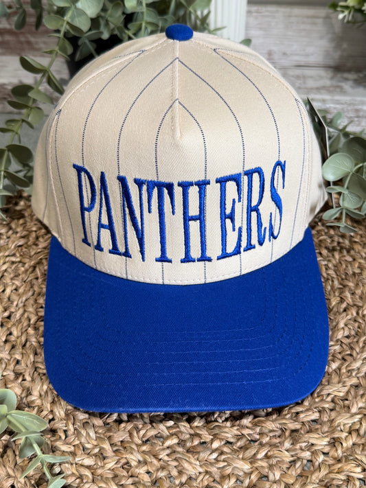 Panthers Trucker Hat